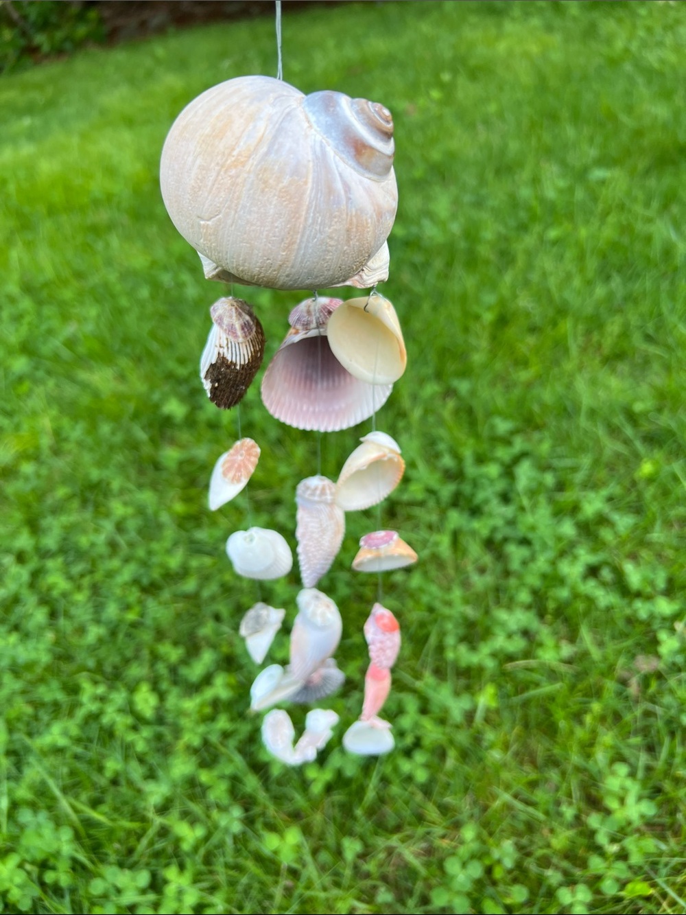 Handmade Seashell Wind Chime - Natural Shells - Picture 6 of 10